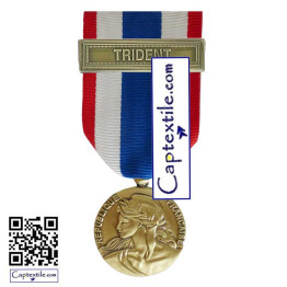 Médaille Ordonnance Protection Militaire du Territoire PMT Agrafe TRIDENT