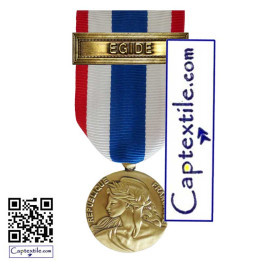 Médaille Ordonnance Protection Militaire du Territoire PMT Agrafe EGIDE