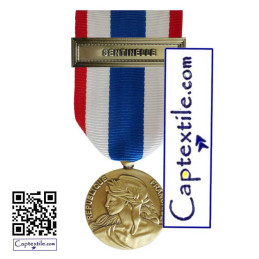 Médaille de la protection militaire du territoire en bronze Sentinelle