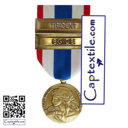 Médaille Ordonnance Protection Militaire du Territoire PMT Agrafes TRIDENT et EGIDE