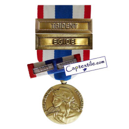 Pack Médaille Ordonnance et une Barrette Protection Militaire du Territoire PMT Agrafes TRIDENT et EGIDE