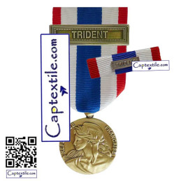 Pack Médaille Ordonnance et une Barrette Protection Militaire du Territoire PMT Agrafe TRIDENT