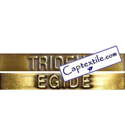 Trident et Egide